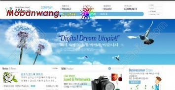 數碼產品代理公司網頁模板免費下載，HTML+CSS格式，設計編號15274638，千圖網優質資源