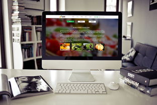 食品公司網頁設計與廣告設計的融合 打造品牌吸引力與用戶體驗